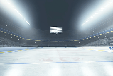 Professional ice rinks