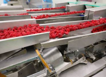Citrus & berry handling