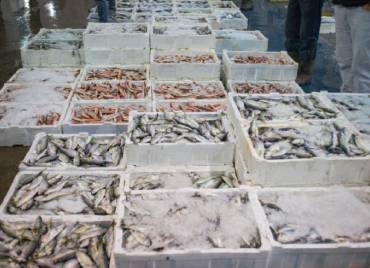 Cold storage warehousing