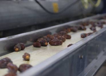 Date processing