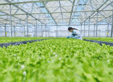 Indoor farming and hydroponic systems