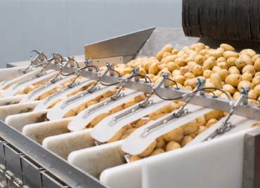 Potato processing