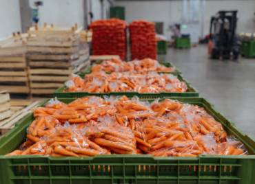 Root vegetable storage