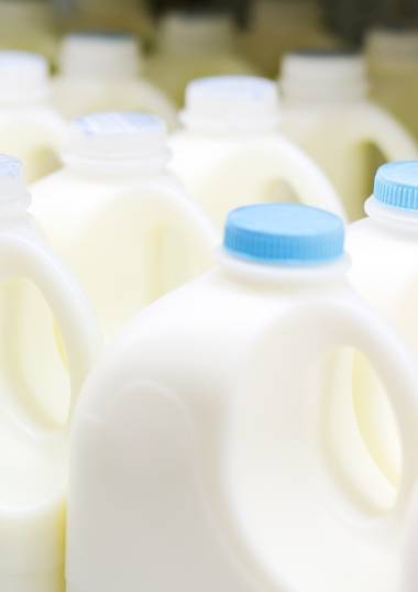 Dairy