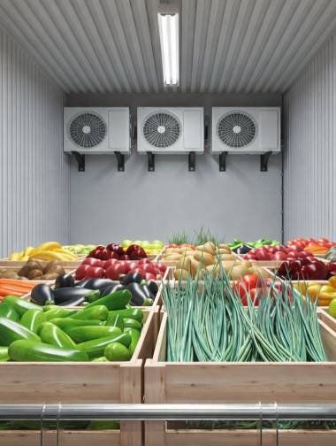 Fresh & short-term storage