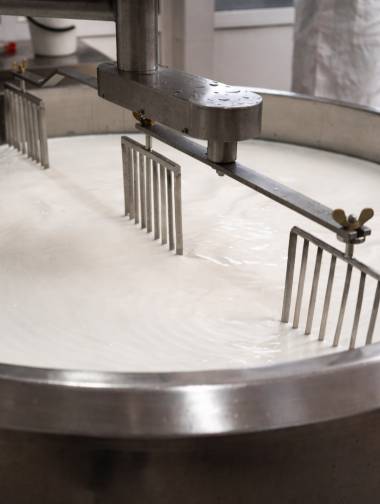 Pasteurization & fermentation