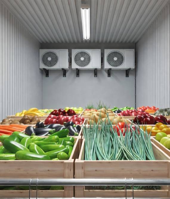Maintaining freshness and product quality