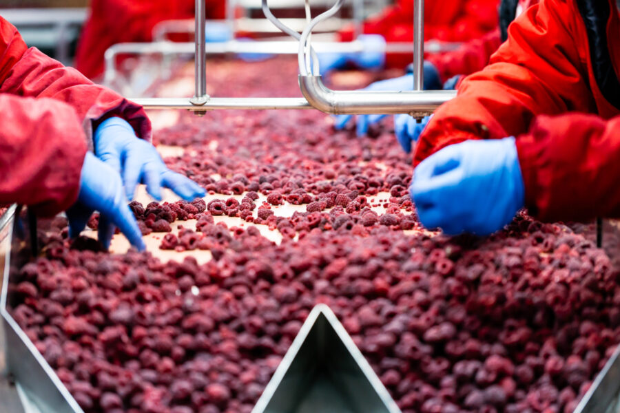Frozen food processor – Supporting Pakistan’s frozen food exports