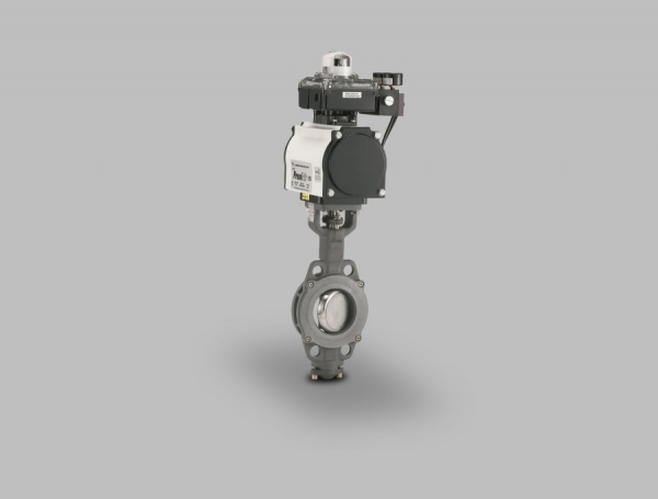 AK butterfly valves