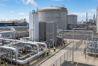 Cryogenic & LNG management