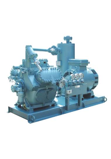Packaged reciprocating compressor
