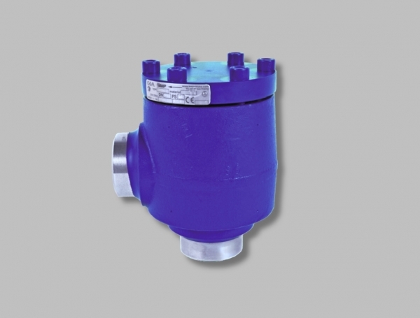 RV check valves